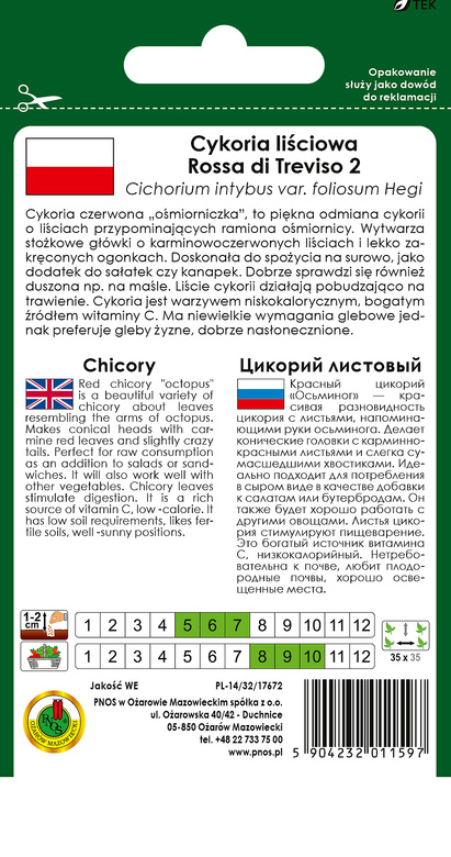 Cykoria liściowa ROSSA DI TREVISO 2 "Ośmiorniczka" 0,3g (Cichorium intybus var. foliosum Hegi)