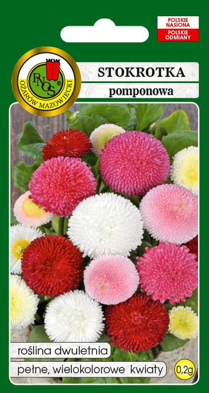 Daisy POMPONETTE mix 0.2g (Bellis perennis Pomponette)