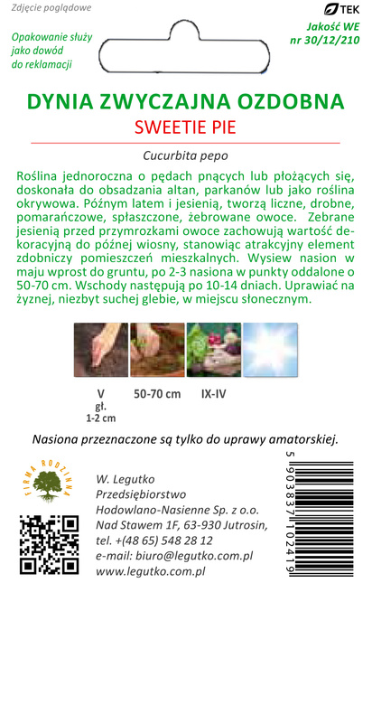 Decorative pumpkin SWEETIE PIE 1g (Cucurbita pepo)