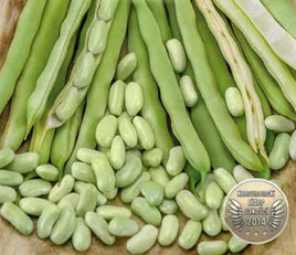 Fasola zwykła zielona karłowa PRESTO typ flageolet 30g (Phaseolus vulgaris)