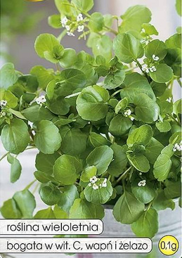 Watercress 0.1g (Nasturtium officinale)