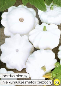 Patison Dynia zwyczajna POLO F1 3g (Cucurbita pepo)