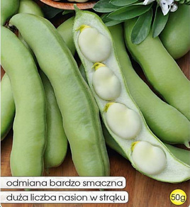 Bób ogrodowy BONZO 50g (Vicia faba)