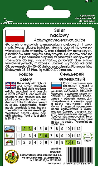 Celery, VERDE PASCAL 1g (Apium graveolens var. dulce)