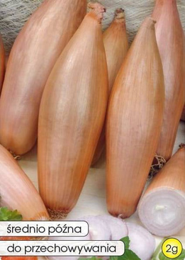 TOSCA Onion 2g (Allium cepa)