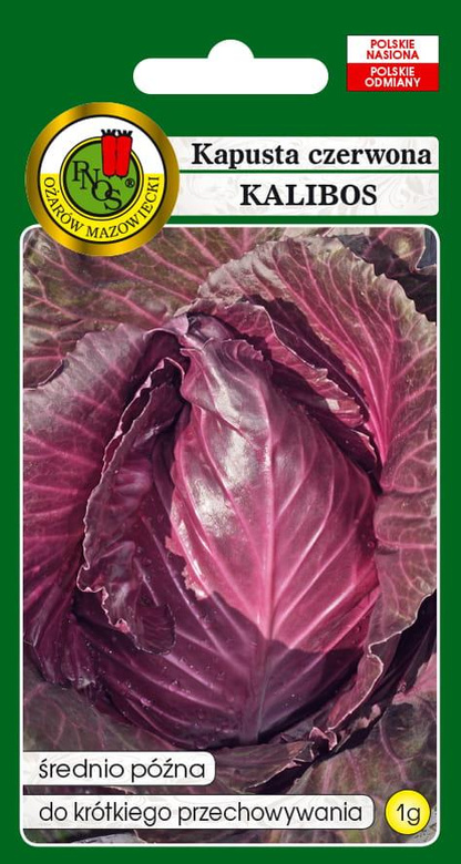 Kapusta głowiasta czerwona stożkowa KALIBOS 1g (Brassica oleracea convar. capitata var. Rrubra)