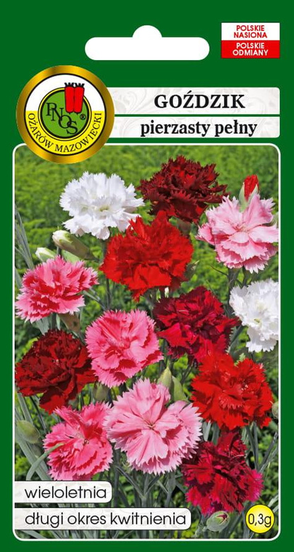 Goździk pierzasty pełny mix 0,3g (Dianthus plumarius fi.pl.)