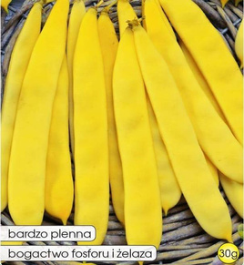 Fasola szparagowa żółta karłowa SUPERNANO GIALLO 30g (Phaseolus vulgaris)