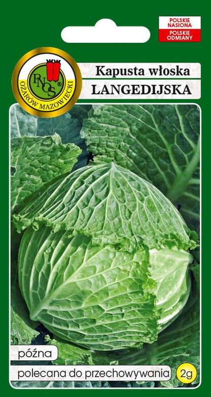 Kapusta włoska LANGEDIJSKA 2g (Brassica oleracea L. var. sabauda)