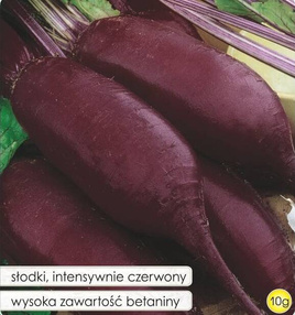 Burak ćwikłowy RENOVA 10g (Beta vulgaris)