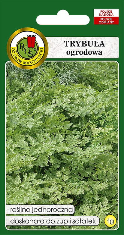 Garden chervil COMMUN 1g (Anthriscus cerefolium)