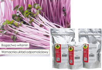 Red Cabbage Sprouting Seeds 100g