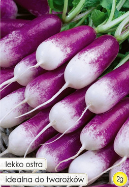 Radish FELICIA 2g (Raphanus sativus var. sativus)