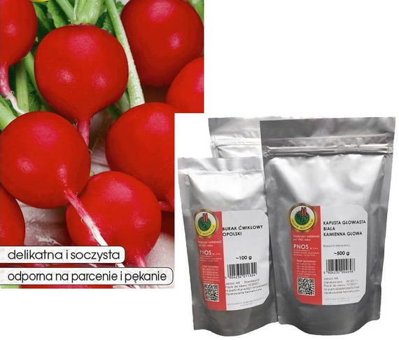 Crimson Radish 100g (Raphanus sativus var. sativus)