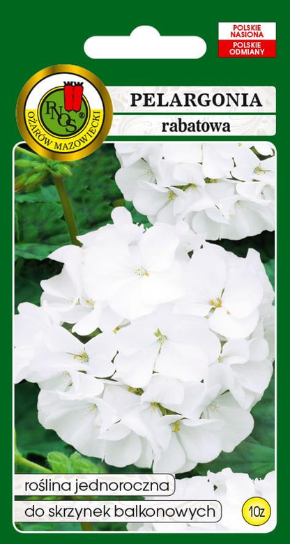 White zonal geranium for 10z (Pelargonium zonale)