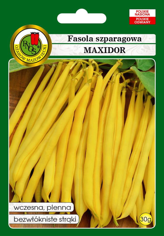 Yellow dwarf MAXIDOR green beans 30g (Phaseolus vulgaris)