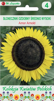 Medium-tall decorative sunflower AMOR ARNOLD yellow 2g (Polish Flowers) (Helianthus annuus)