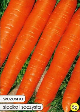 Edible carrot AMSTERDAM 2 5g (Daucus carota)