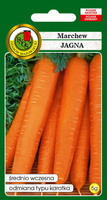 Edible carrot JAGNA 5g (Daucus carota)