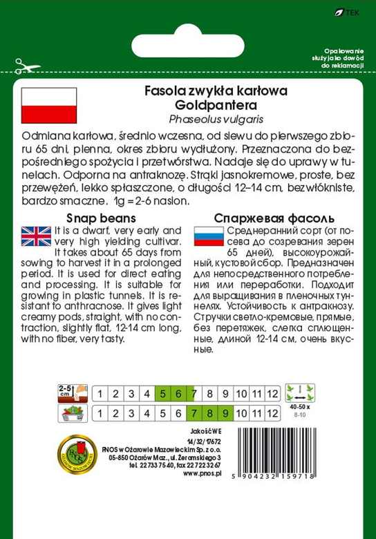 Fasola szparagowa żółta karłowa GOLDPANTERA 50g (Phaseolus vulgaris)