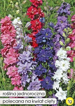 Common Larkspur mix 1g (Delphinium consolida)