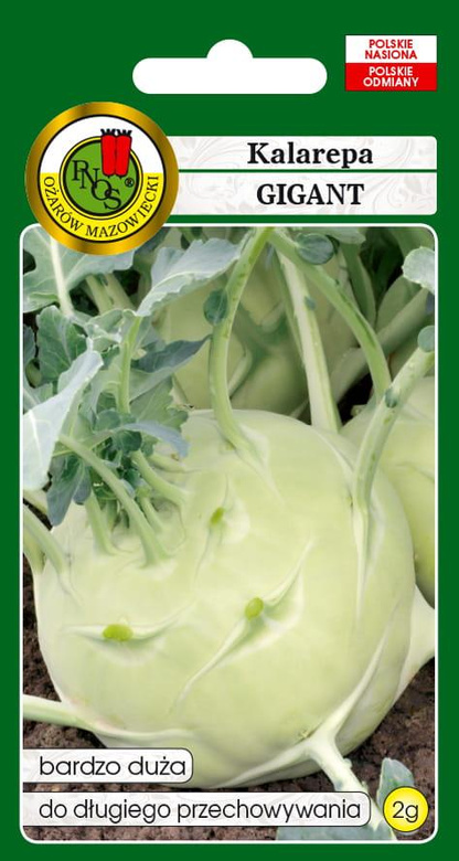 Giant Kohlrabi 2g (Brassica oleracea var. gongylodes)