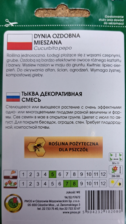 Dynia ozdobna mix 2g (Cucurbita pepo)