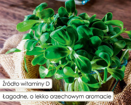 Sunflower sprouting seeds 40g.