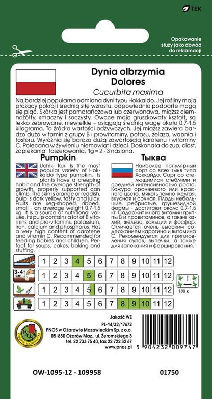 Dynia olbrzymia DOLORES 5g (Cucurbita maxima)