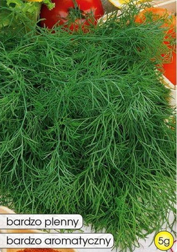 Garden dill MORAVAN 5g (Anethum graveolens)