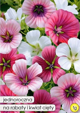 Malope mix 1g (Malipoe trifida)