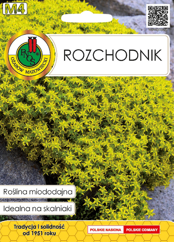 Rozchodnik 0,2g (Sedum sp.)