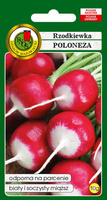 Poloneza radish 10g (Raphanus sativus var. sativus)