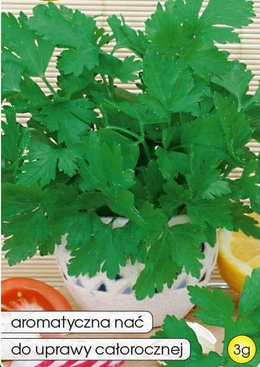 Curly parsley FEST 3g (Petroselinum crispum convar. crispum)