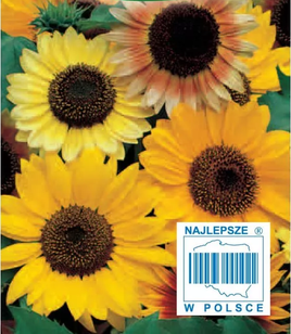 Słonecznik ozdobny wysoki pojedynczy mix 3g (Helianthus annuus)