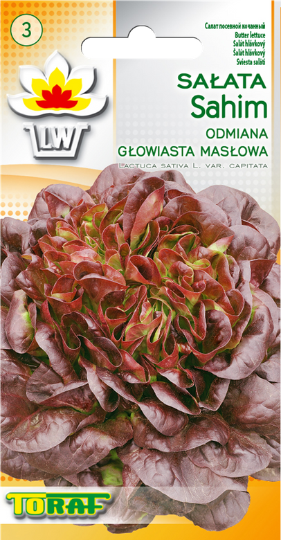 Sałata głowiasta masłowa SAHIM 1g (Lactuca sativa L. var.capitata)