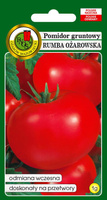 Pomidor gruntowy RUMBA OŻAROWSKA 1g (Solanum lycopersicum L.)