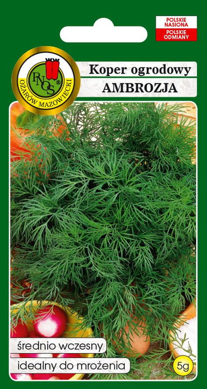 Garden dill AMBROZJA 5g (Anethum graveolens)