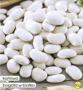 EUREKA 50g dry bean seeds (Phaseolus coccineus)