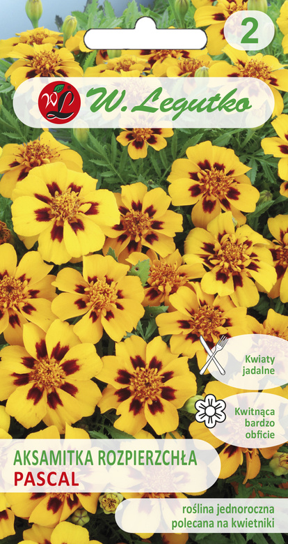 French marigold PASCAL 1g (Tagetes patula nana)