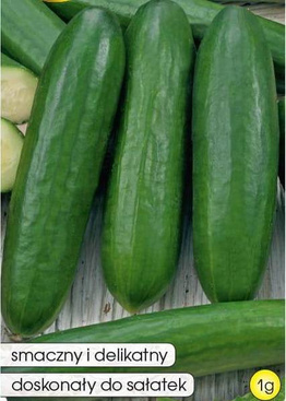 Ogórek pod osłony SKIERNIEWICKI 1g (Cucumis sativus)