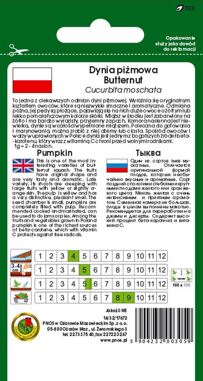 Dynia piżmowa BUTTERNUT 3g (Cucurbita moschata)