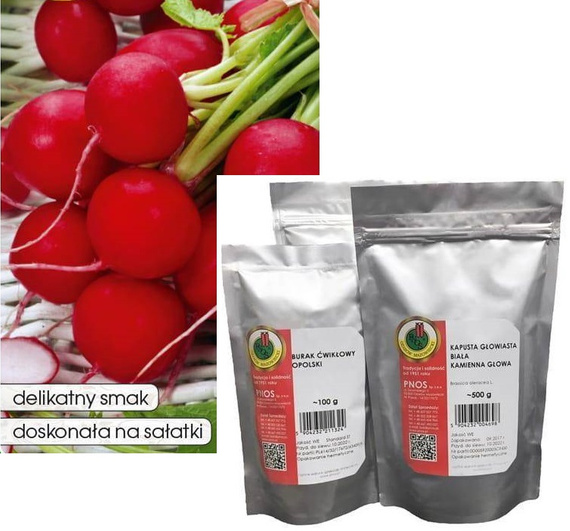 Radish SAXA POLANA 100g (Raphanus sativus var. sativus)