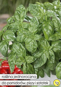 Green Genovese Basil (Ocimum basilicum) 1g