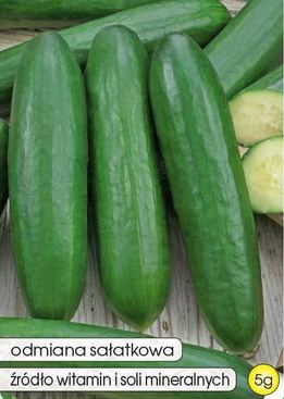OLIMP F1 Ground Cucumber 5g (Cucumis sativus)