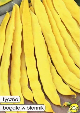Fasola szparagowa żółta tyczna GOLDMARIE 20g (Phaseolus vulgaris)