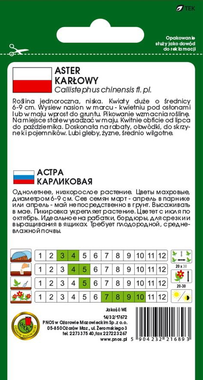 Aster karłowy różowy 0,8g (Callistephus chinensis fl. pl.)