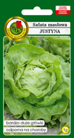 Butterhead lettuce JUSTYNA 1g (Lactuca sativa var.capitata)