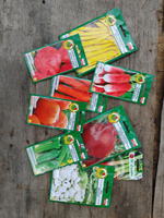 Large vegetable seed kit for Preppers - SEED BANK