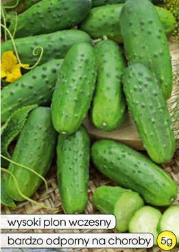 Ground cucumber TAROT F1 5g (Cucumis sativus)